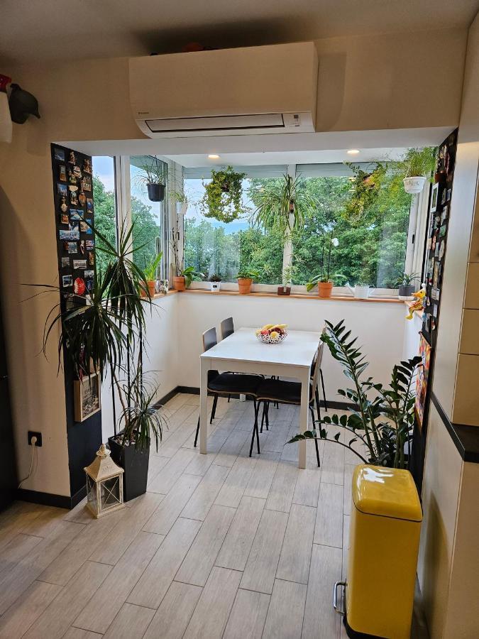 Apartman Carnevalus Rijeka Eksteriør billede
